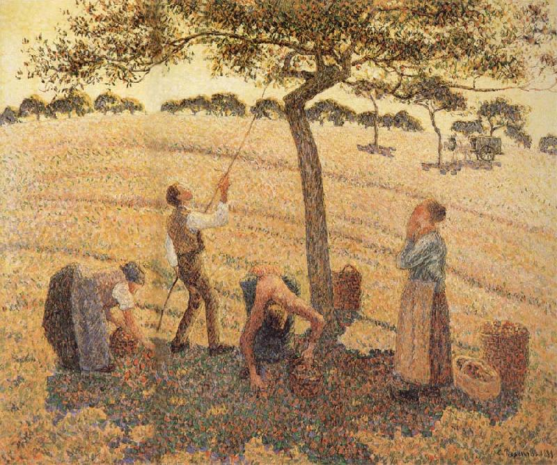 Camille Pissarro Pick Apple oil painting picture